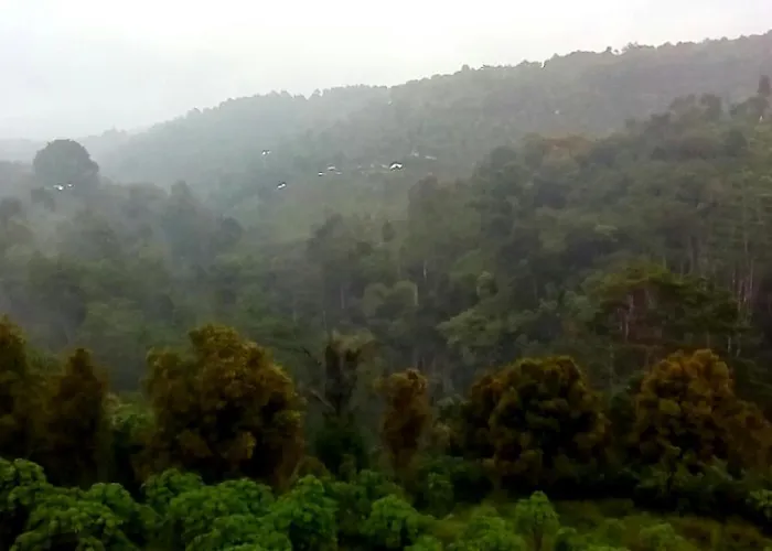 Restarea The View Kintamani